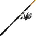 ugly stik bigwater combo review