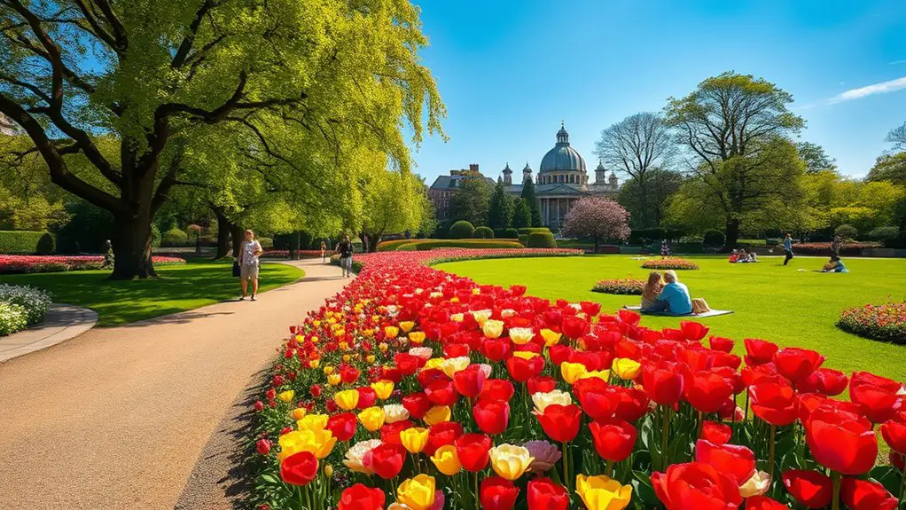 vibrant summer garden experiences
