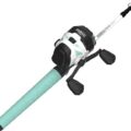 zebco roam rod performance review