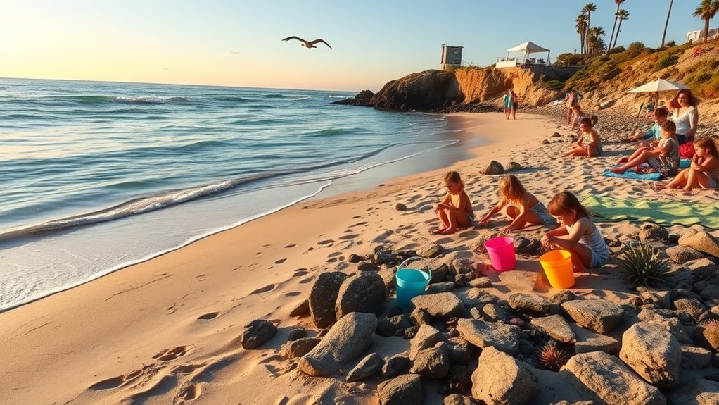 family friendly beach exploration
