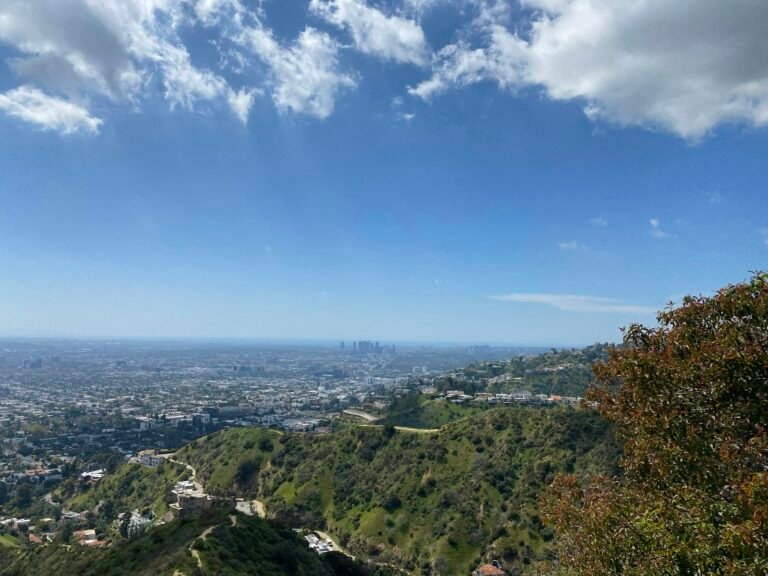View over Los Angeles from a hillside hiking trail