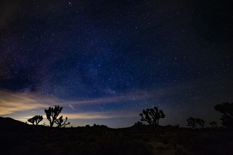 California Bucket List Joshua trees under a starry night sky in Joshua Tree National Park