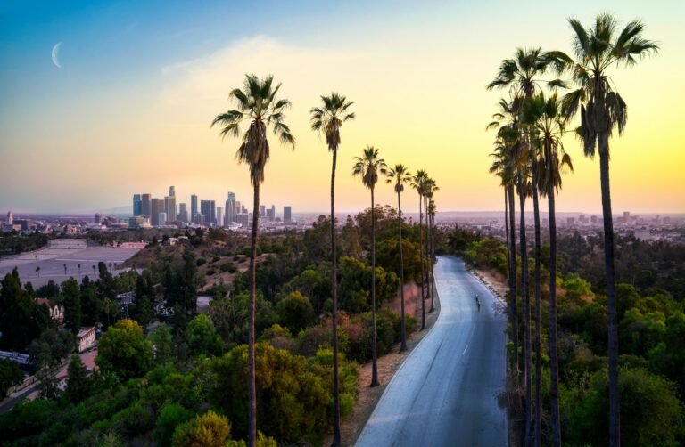 Los Angeles Travel Guide: Top Attractions, Itineraries & Tips Palm-lined road leading to the downtown Los Angeles skyline at sunset