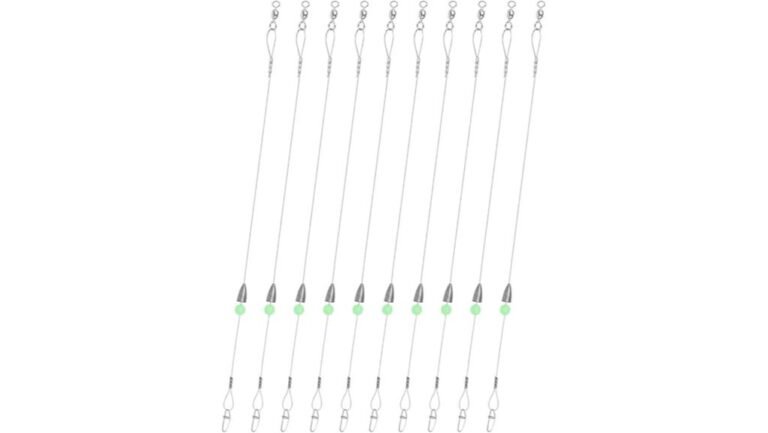 carolina rigs fishing review