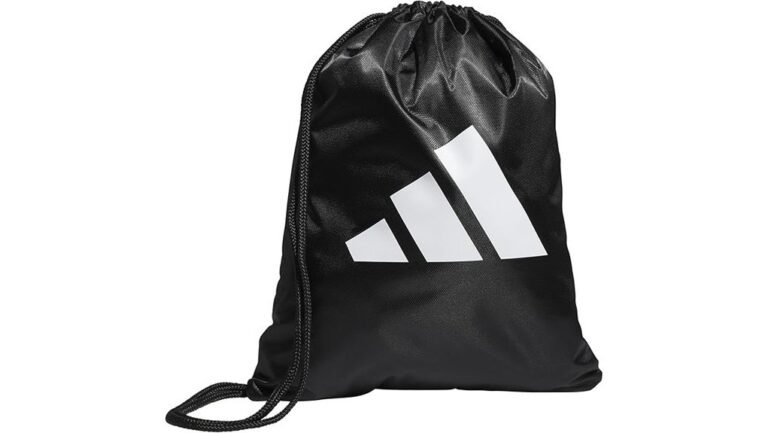 sackpack bag review summary