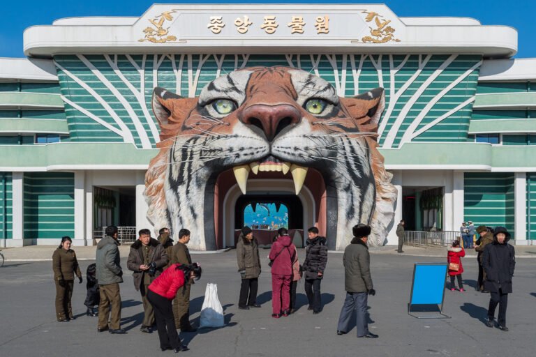 Inside North Korea’s Central Zoo: Smoking Chimps, Panda Diplomacy, and a Very Strange Reputation Inside North Korea's Central Zoo: Smoking Chimps, Panda Diplomacy, and a Very Strange Reputation